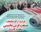 گزارش تصویری زنجیره فرش