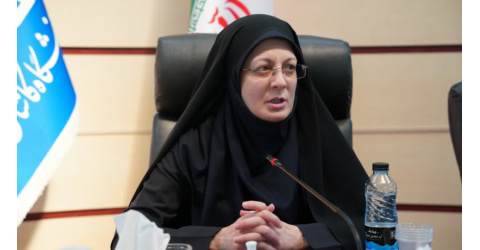 کارگاه تخصصی ماده ۱۳ قانون جهش تولید دانش بنیان برگزار شد